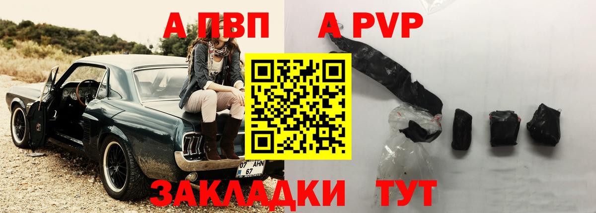 Альфа ПВП СК Нововоронеж