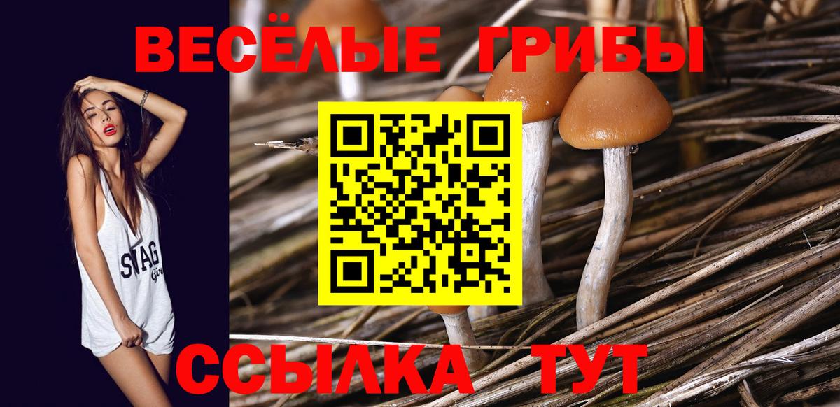Псилоцибиновые грибы прущие грибы  Вход с VPN  Галлюциногенные грибы Psilocybine cubensis  Нововоронеж 