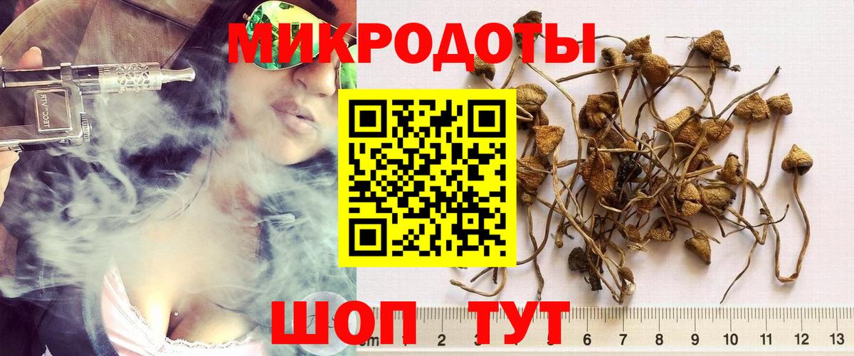 Галлюциногенные грибы Cubensis Нововоронеж