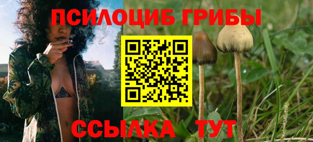 Вейп ТГК Нововоронеж